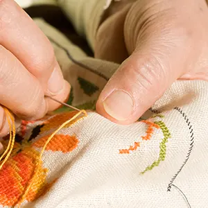 Broderie à Points de Croix